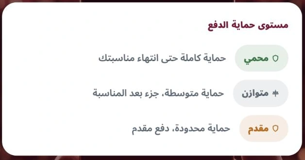 مستويات حماية الدفع في تطبيق لحظة